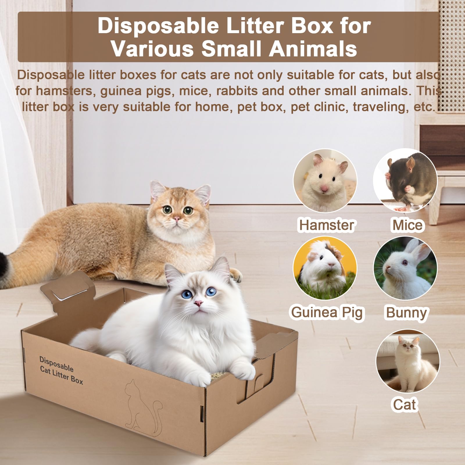 HomeGroove foldable litter box quick setup and disposal on the go
