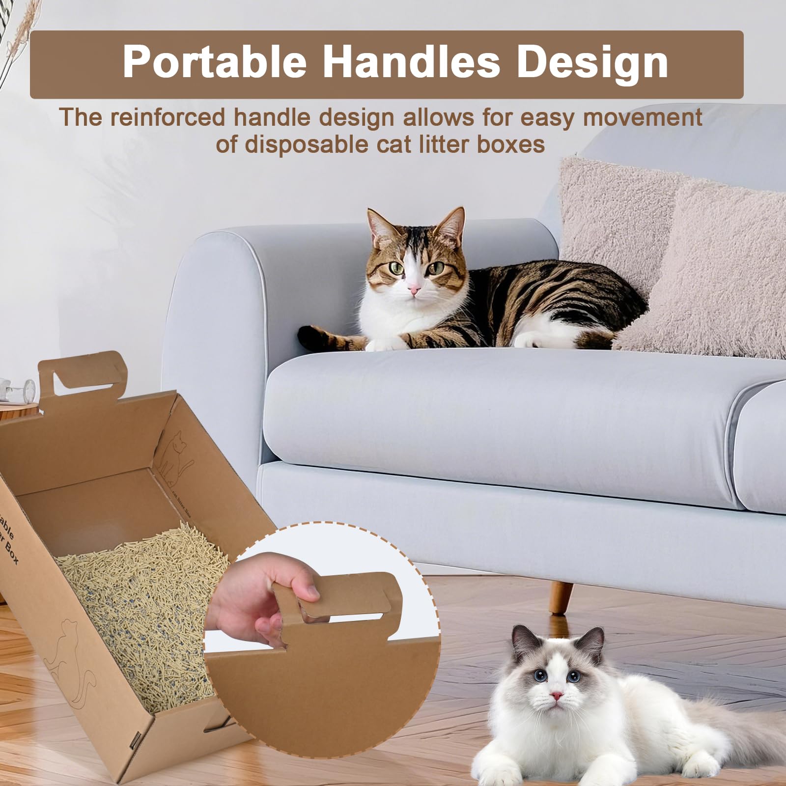 HomeGroove high-side litter box with 5.4 inch sides reduces spills