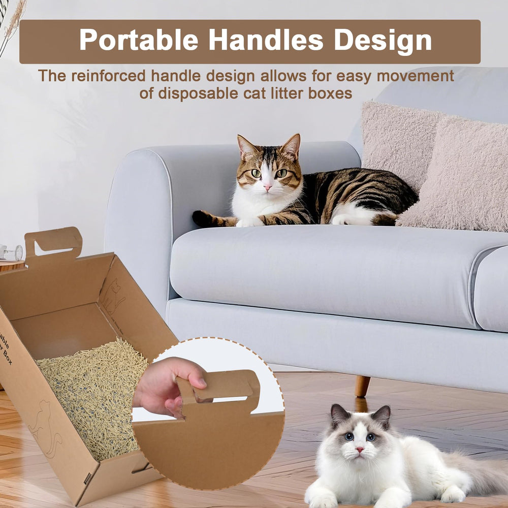 HomeGroove high-side litter box with 5.4 inch sides reduces spills