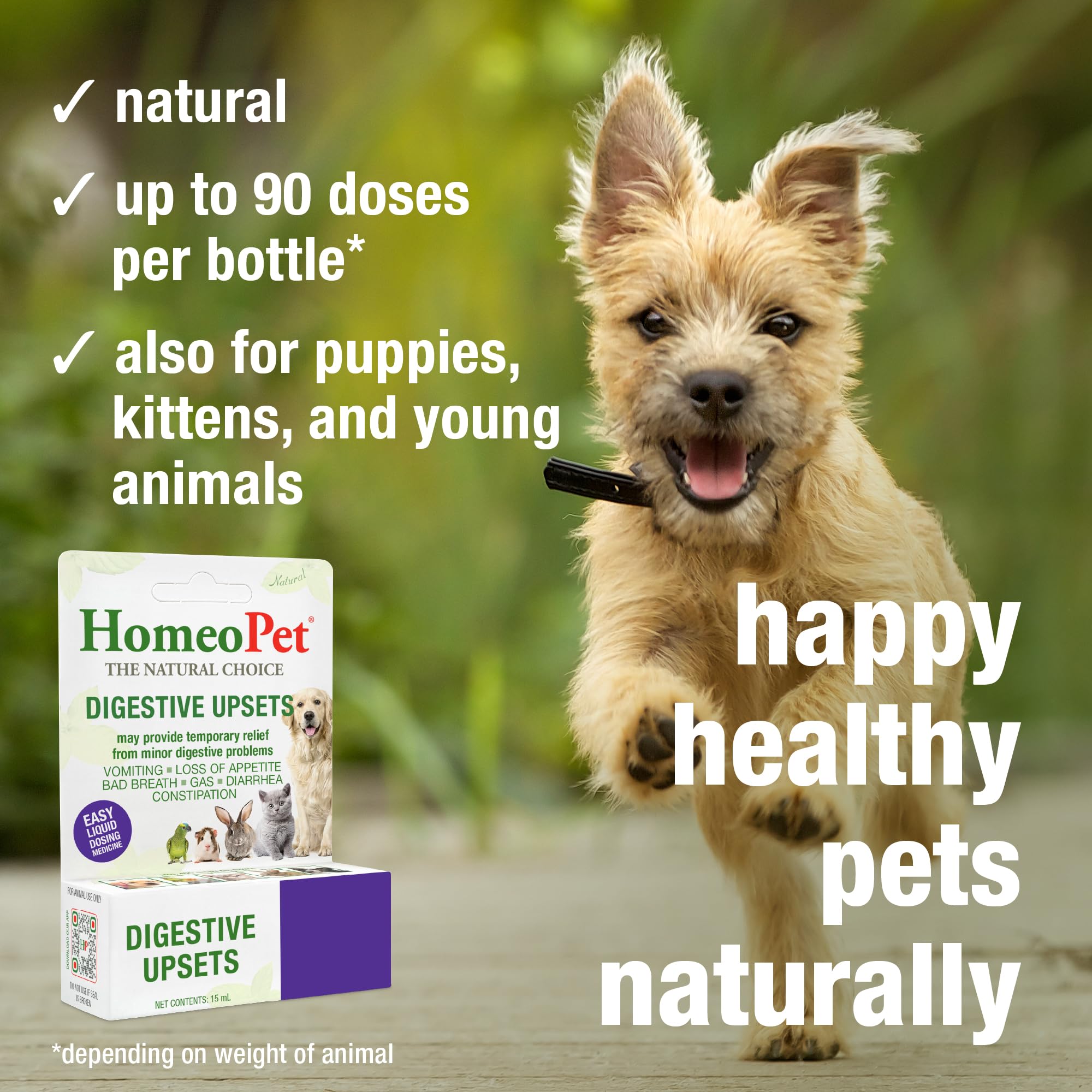 HomeoPet Digestive Upsets: apto para gatos, perros y otros pequeños.