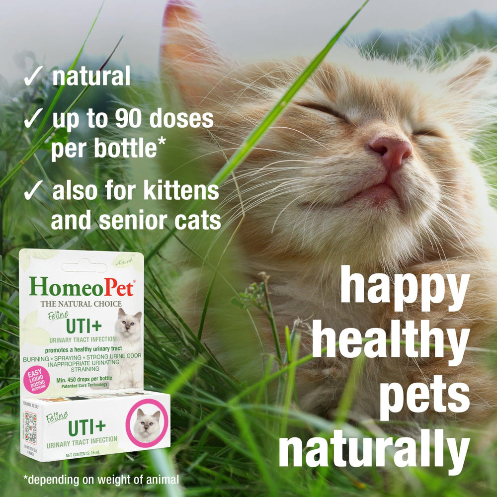 HomeoPet Felino UTI+ dosis en comida para gatos