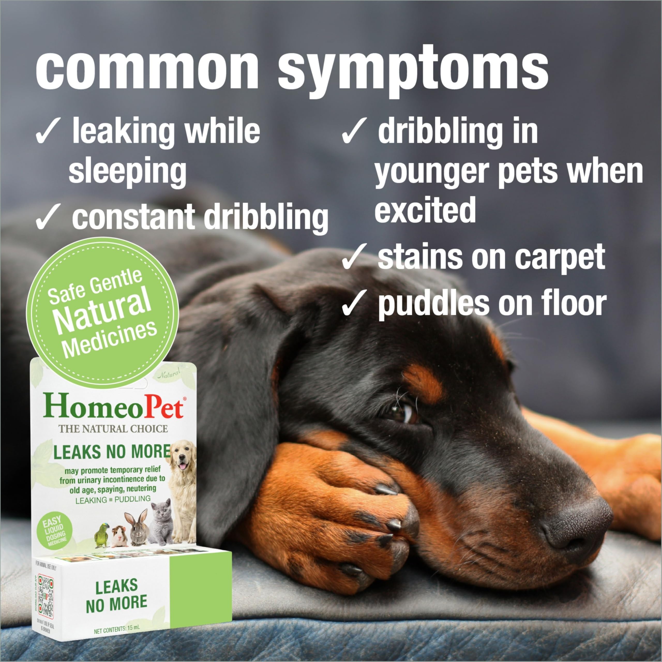 HomeoPet Leaks No More, mezcla en agua para consumo diario suave