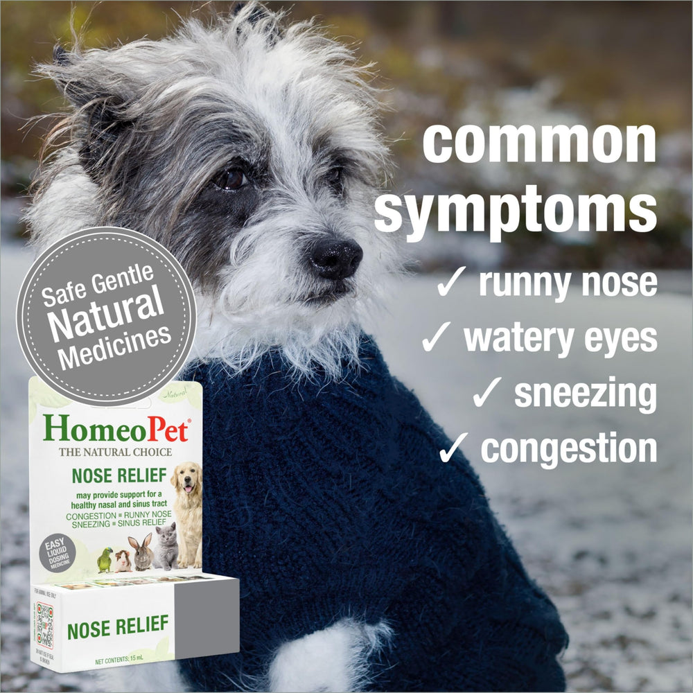 Dosis en agua con HomeoPet Nose Relief para administración fácil