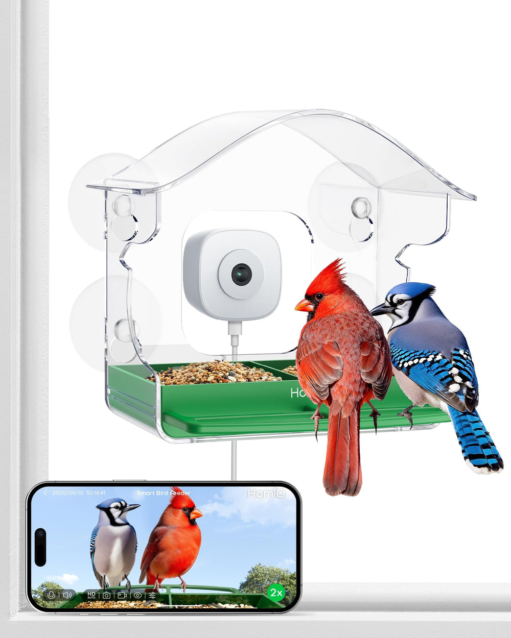 HomiQ comedero para aves con cámara 2K HD desde la ventana