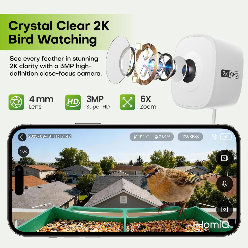 HomiQ Life: IA identifica aves y muestra especies al instante