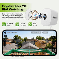 HomiQ Life: IA identifica aves y muestra especies al instante