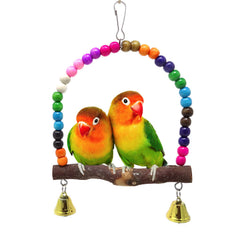 Honbay cuentas multicolor estimulan exploración y juego en aves pequeñas