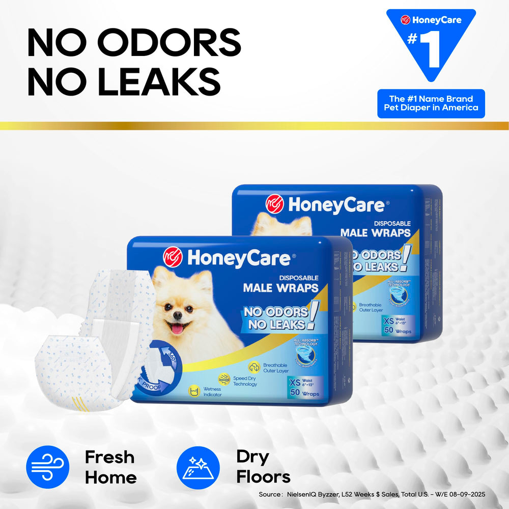 Honey Care All-Absorb - cintura con ajuste para un encaje seguro