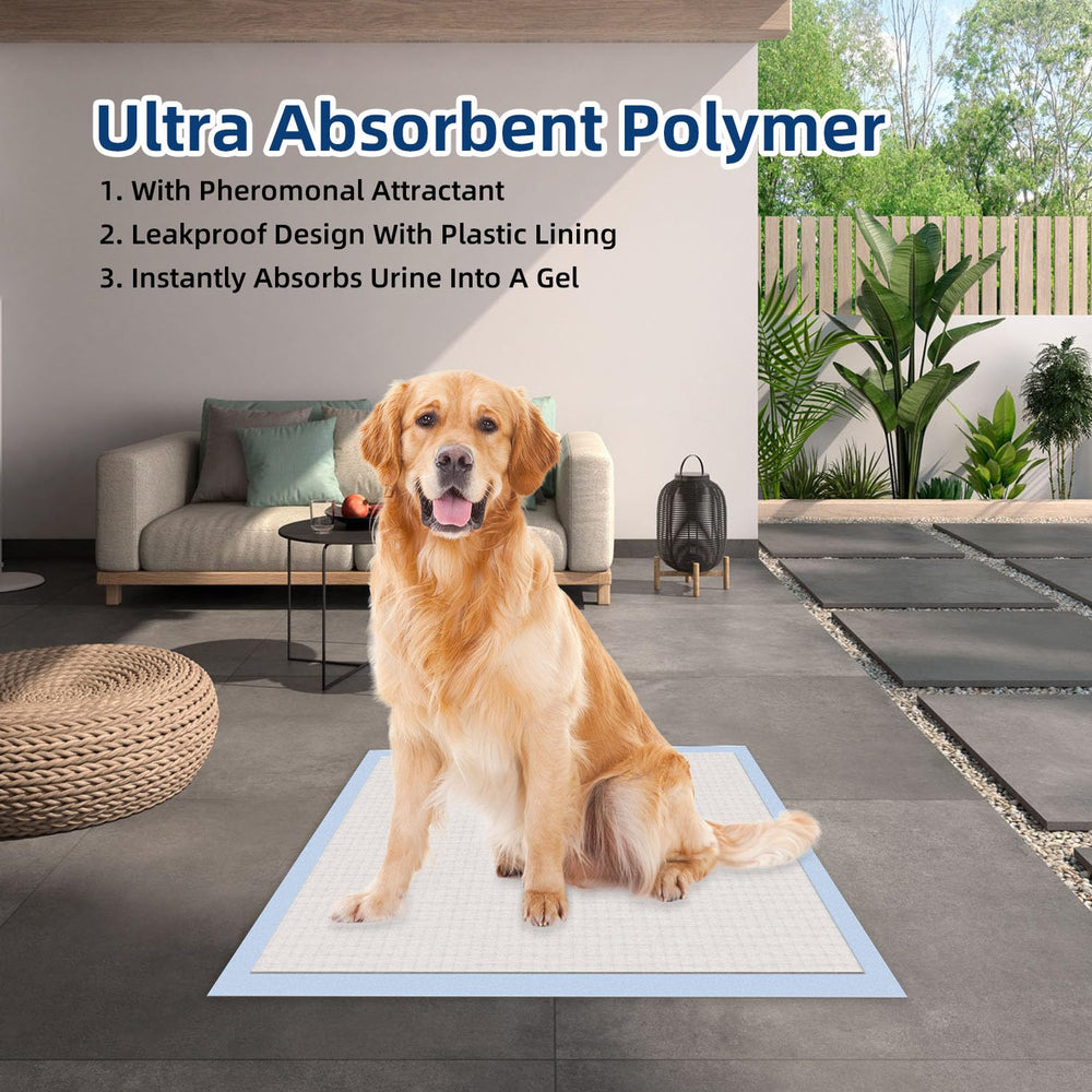 HONEY CARE All-Absorb XXL tapete base impermeable para evitar filtraciones.