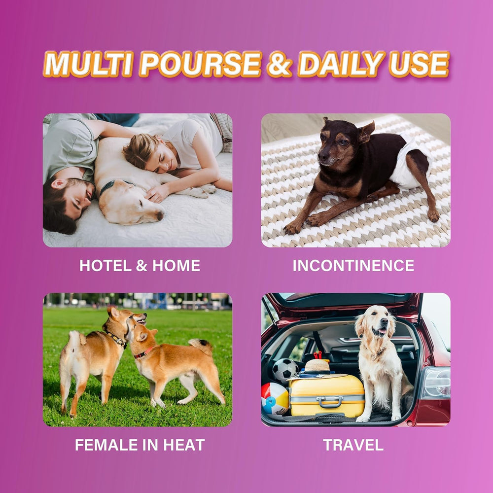 Honey Care pañales desechables para perra talla L, absorción 360 para menos fugas.