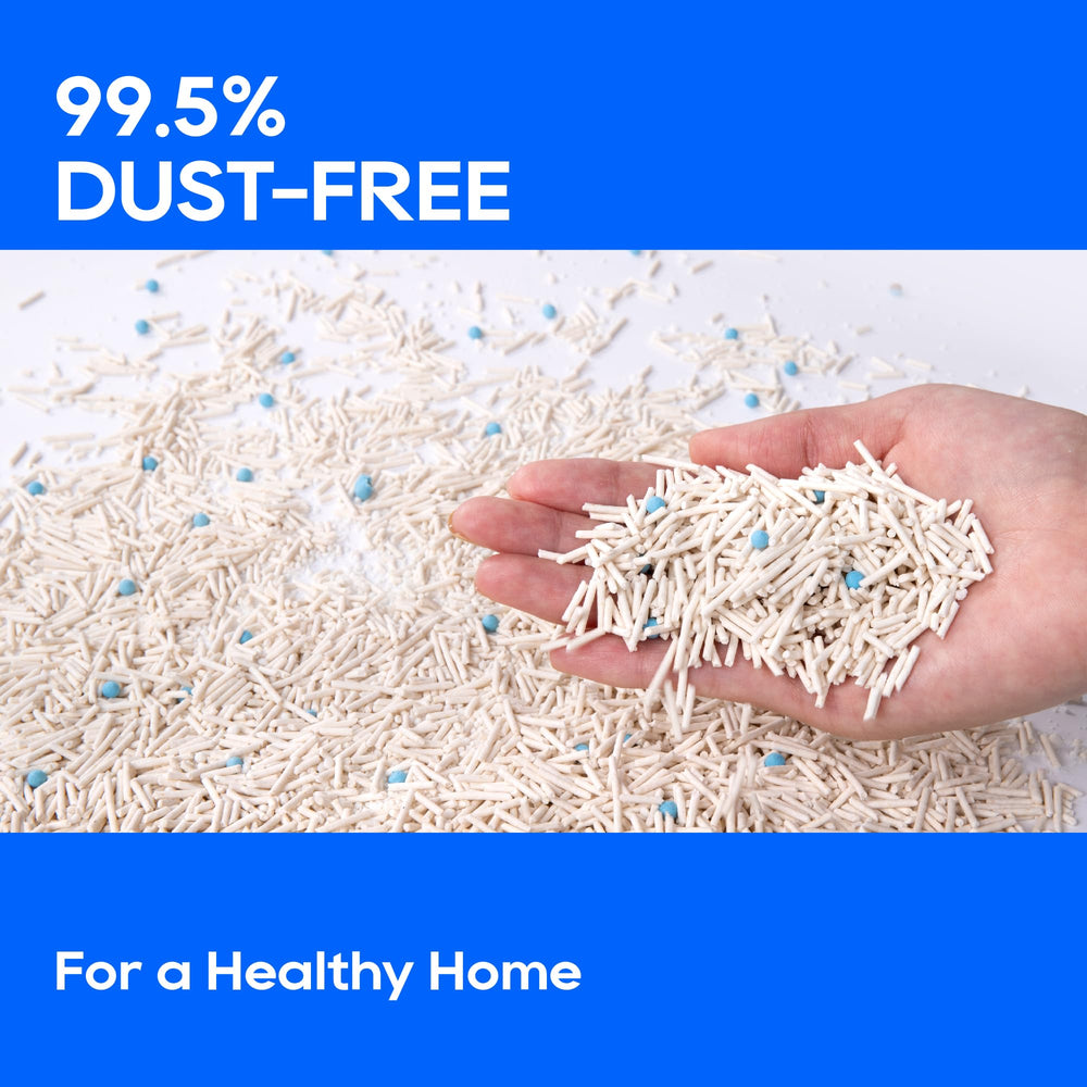 HoneyCare eco-amigable: fórmula biodegradable para el hogar