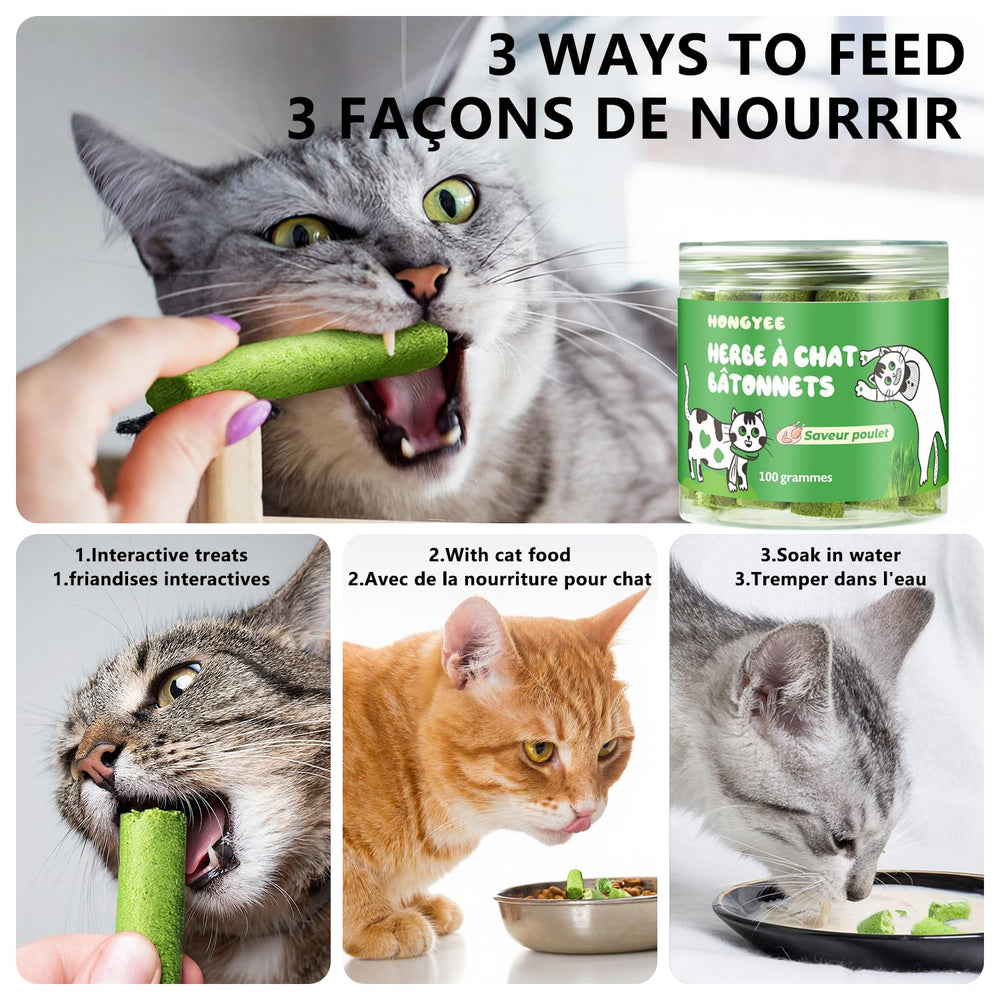 Gato premiado con snack HONGYEE durante juego