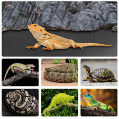 Hoplaep suelo reptil EVA impermeable, facilita la limpieza