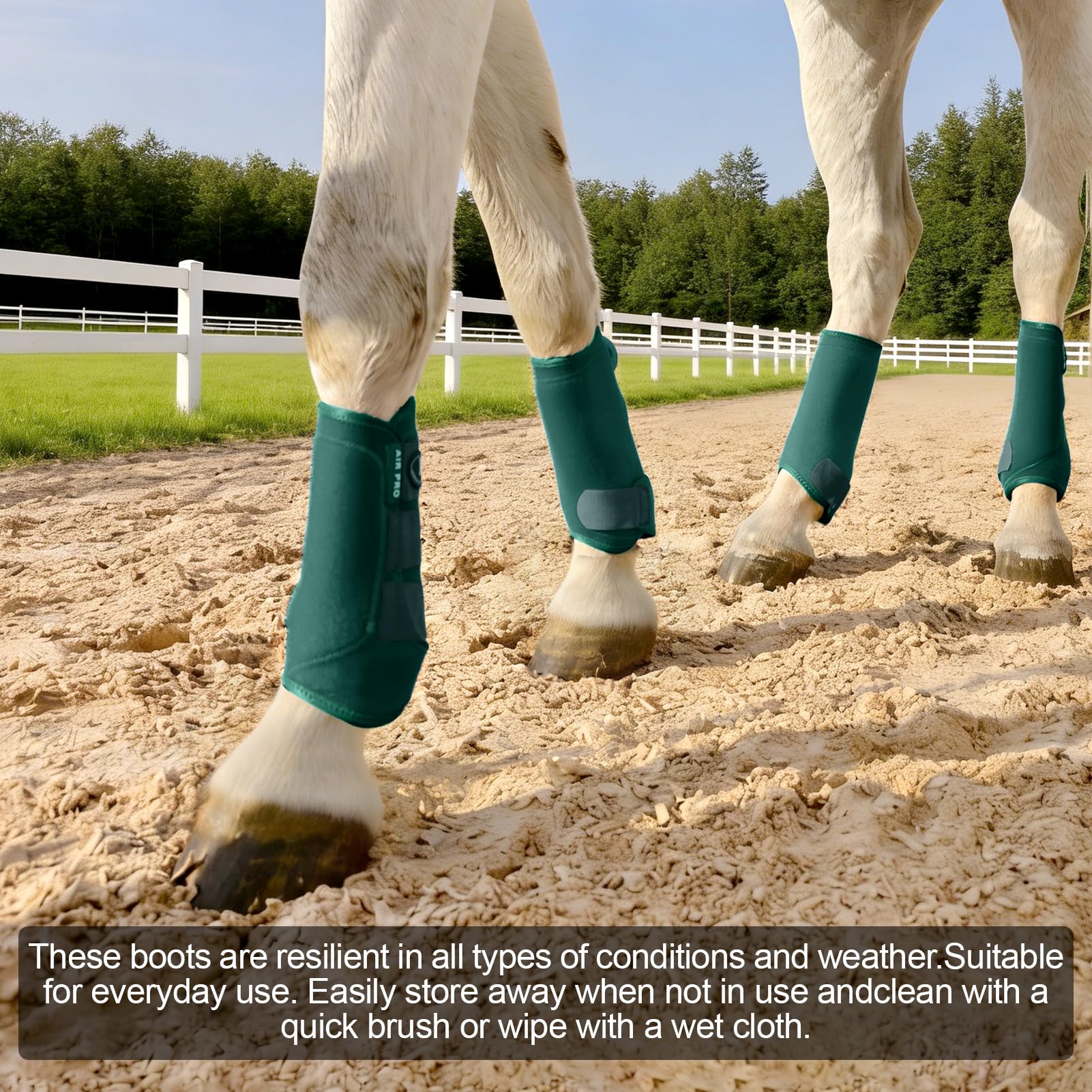 Horntack botas protección tendones caballo turquesa forro interior SBR brinda amortiguación