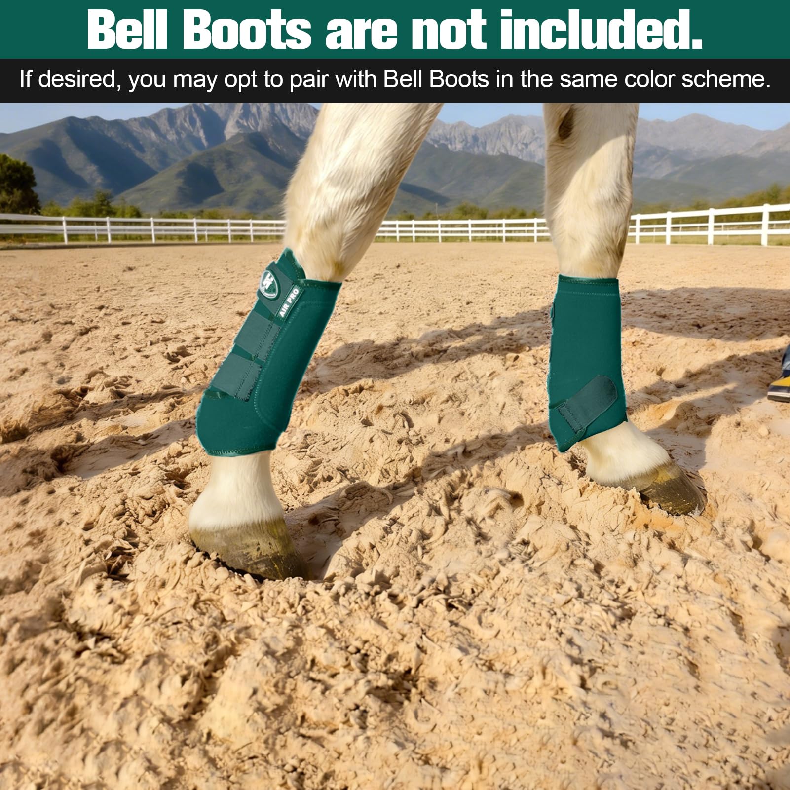Horntack botas protección tendones caballo turquesa uso en entrenamiento diario