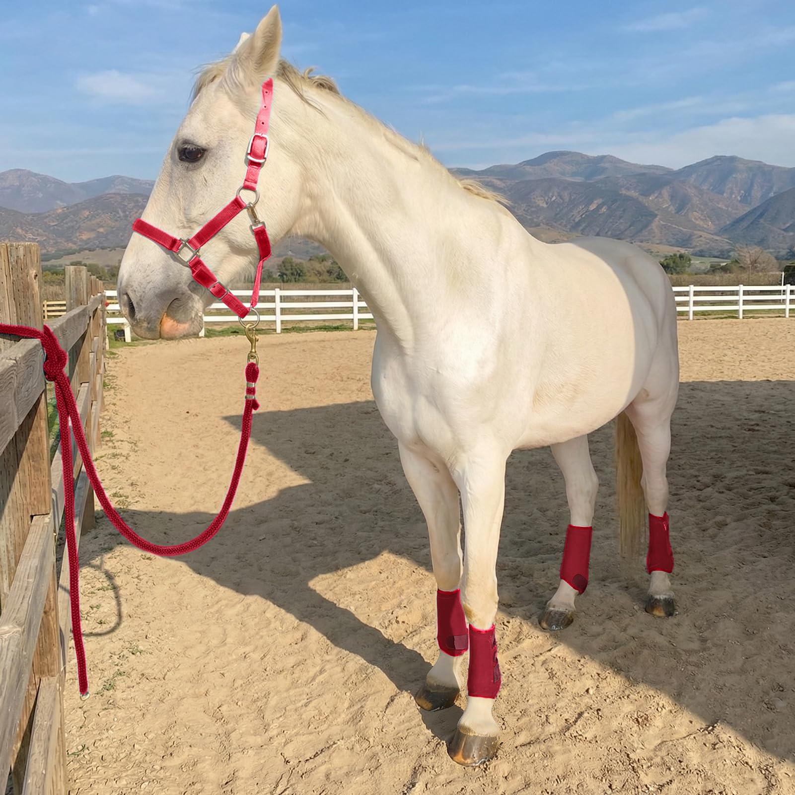 Horntack botas splint caballo cierre velcro firme.