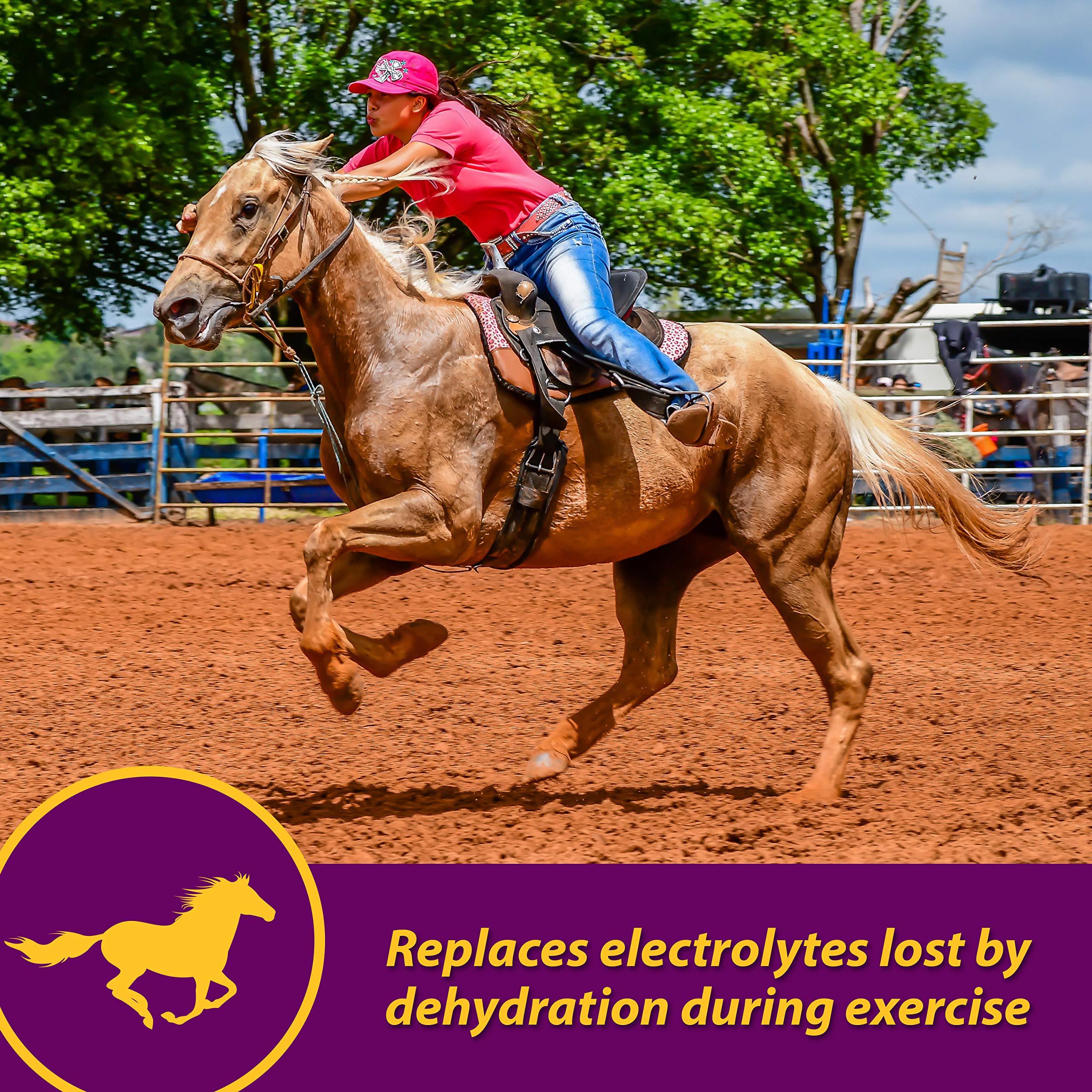 Horse Health Apple-Dex cuchara dosificación para medir porciones fácilmente.
