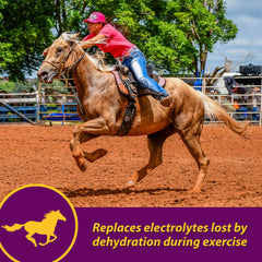 Horse Health Apple-Dex cuchara dosificación para medir porciones fácilmente.