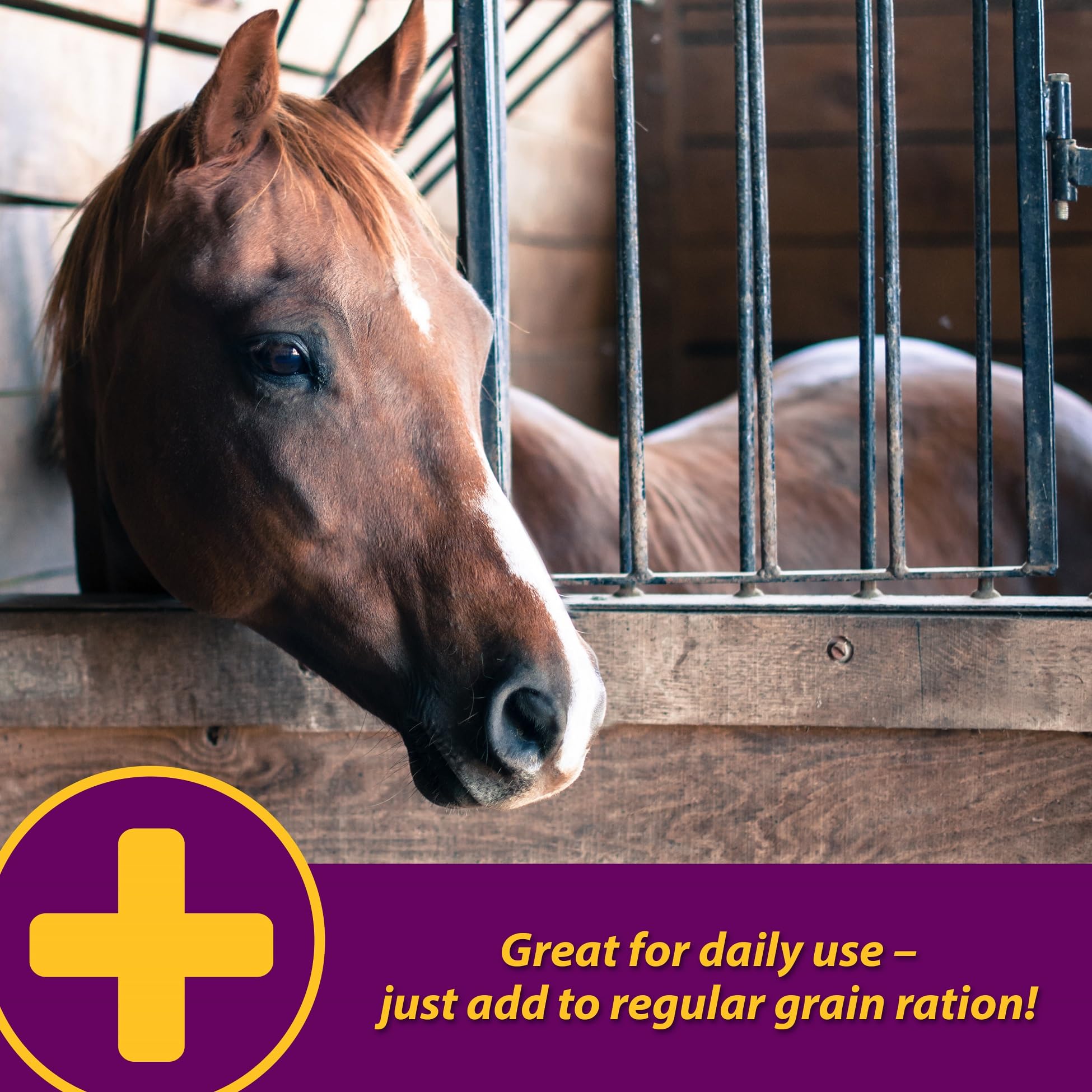 Horse Health Apple-Dex caballo en entrenamiento con electrolitos para rendimiento sostenido.
