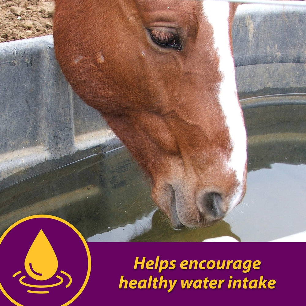 Horse Health Apple-Dex mezcla en alimento para reponer electrolitos durante la comida.