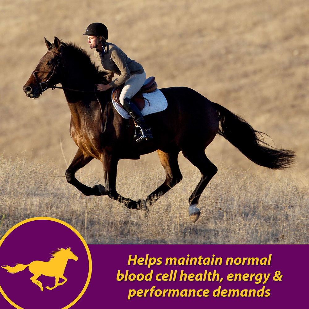 Horse Health Red Cell dosis oral: jeringa para administración sencilla