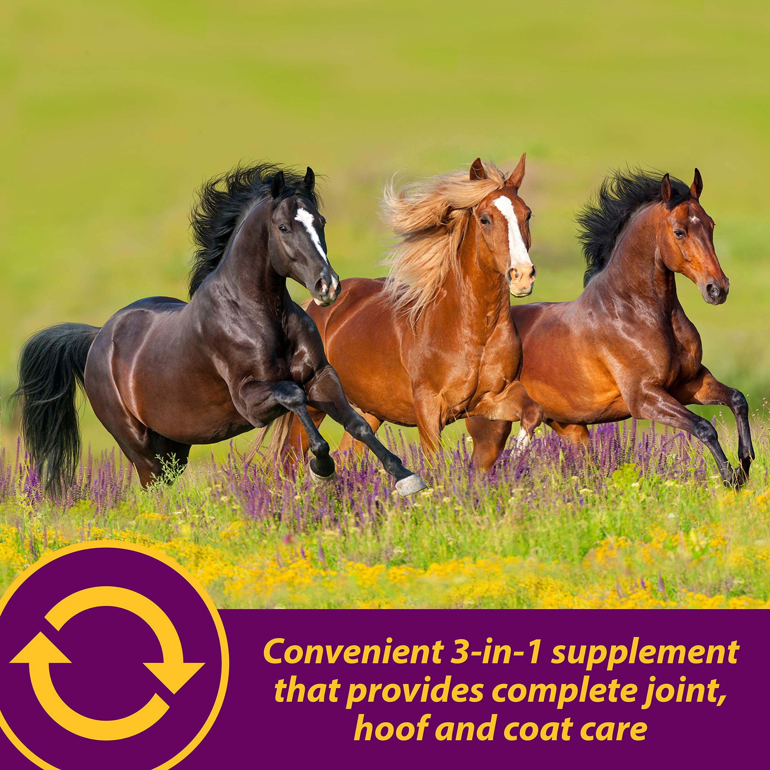 Horse Health Joint Combo biotina 16 mg por porción para cascos fuertes