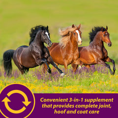 Horse Health Joint Combo biotina 16 mg por porción para cascos fuertes