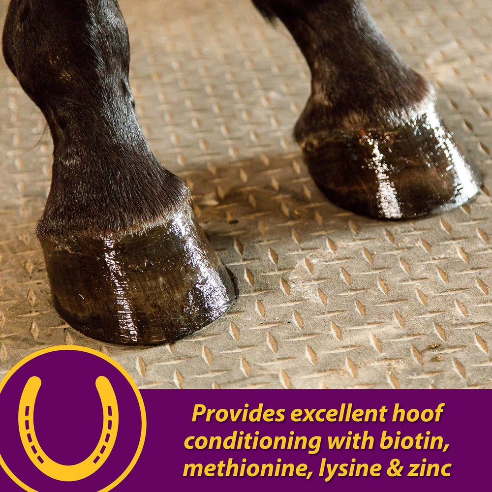 Horse Health Joint Combo omega-3 y omega-6 para piel y pelaje