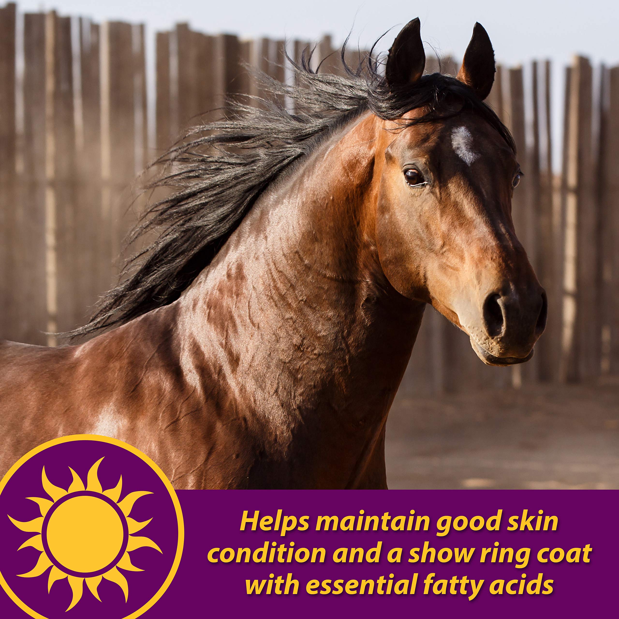 Horse Health Joint Combo pelaje brillante y saludable