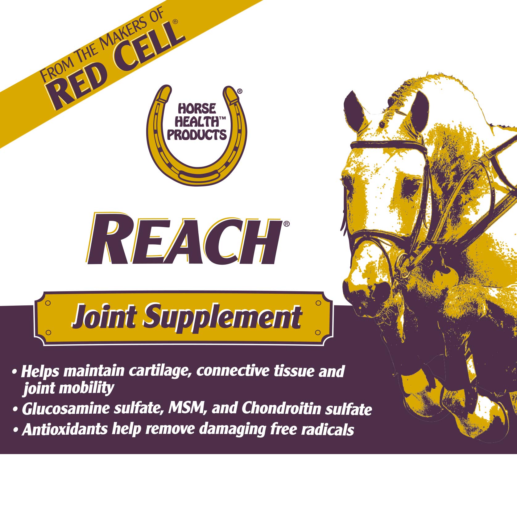 Horse Health Reach medidor de dosis facilita la dosificación para salud articular.