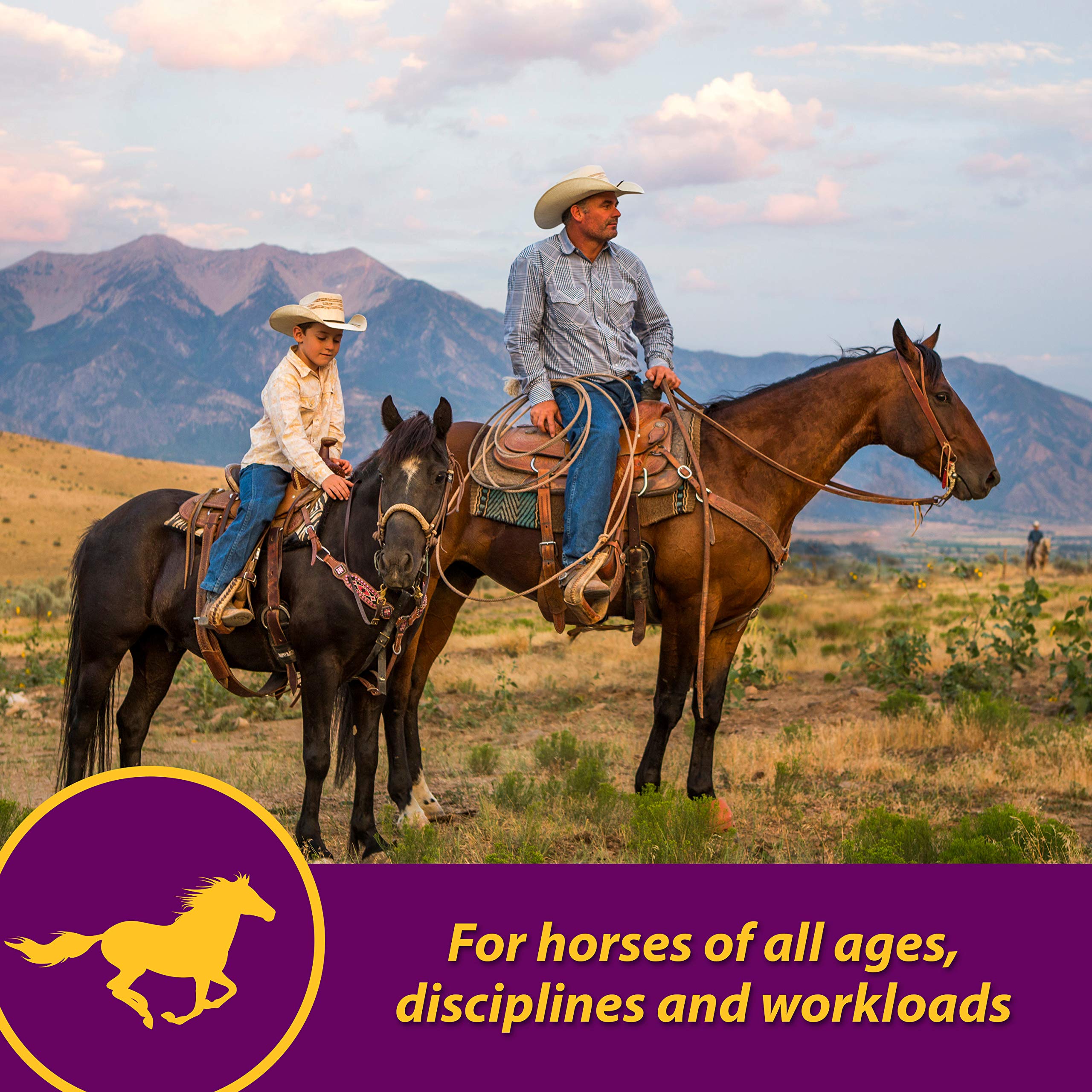 Horse Health Red Cell Pellets apoyan la salud cardiovascular al respaldar células sanguíneas.