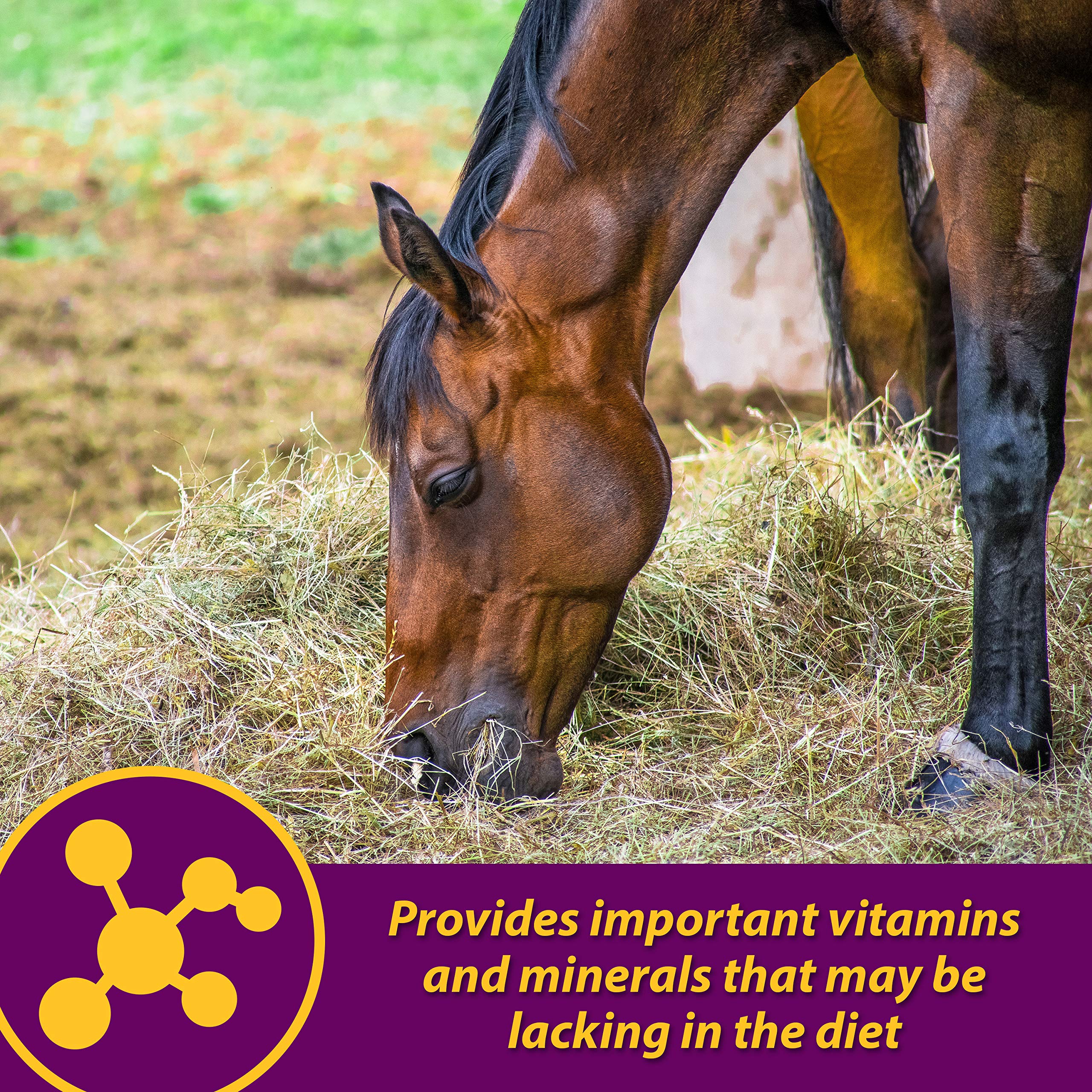 Horse Health Red Cell Pellets con hierro y zinc para apoyar la inmunidad.