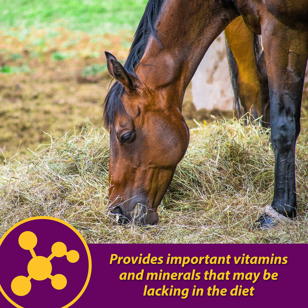 Horse Health Red Cell Pellets con hierro y zinc para apoyar la inmunidad.