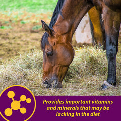 Horse Health Red Cell Pellets con hierro y zinc para apoyar la inmunidad.