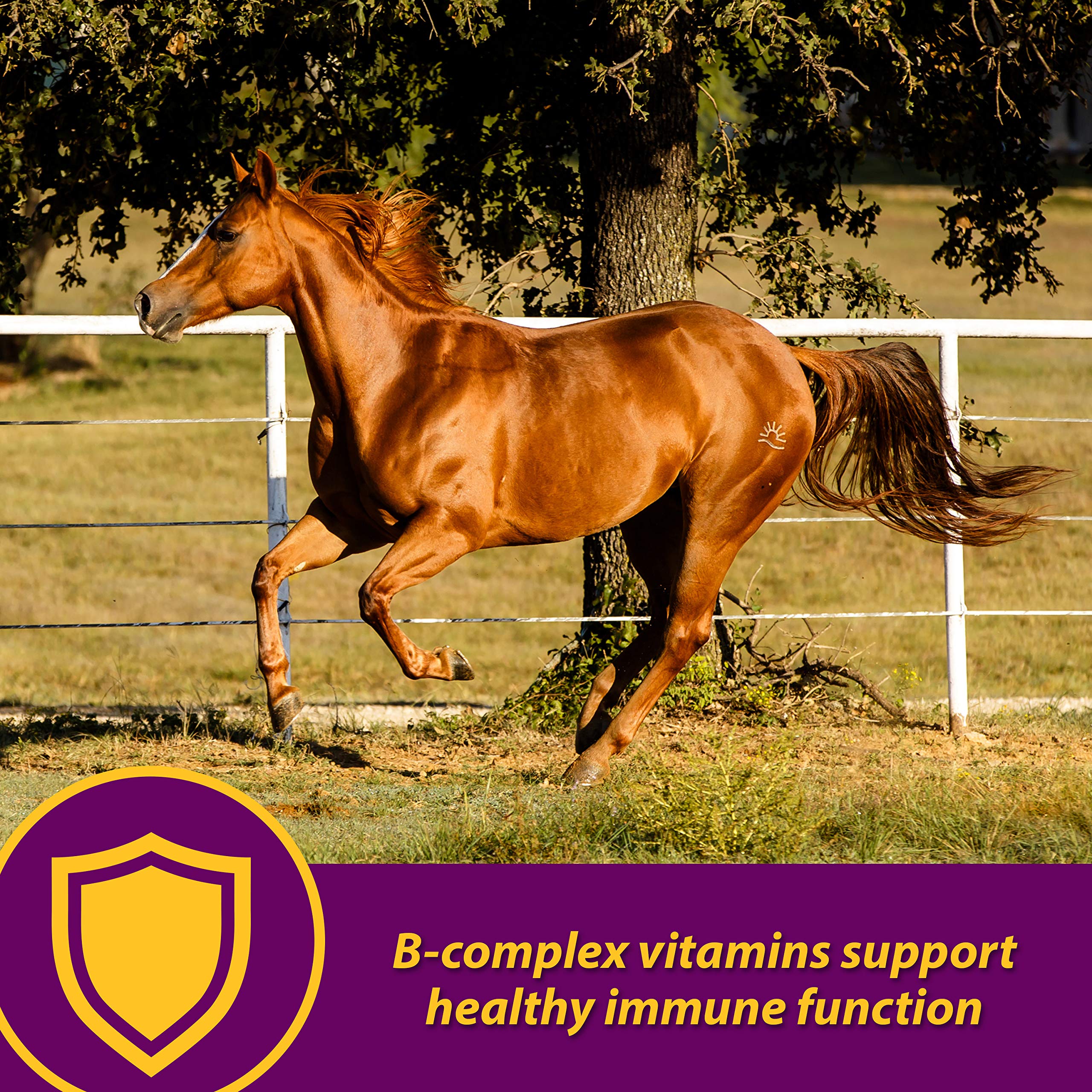 Horse Health Red Cell Pellets se mezcla fácilmente sin desorden en la comida.