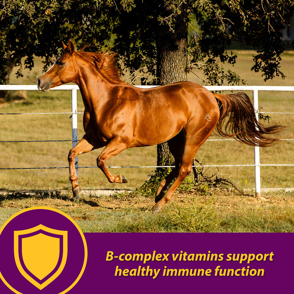 Horse Health Red Cell Pellets se mezcla fácilmente sin desorden en la comida.