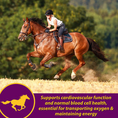 Horse Health Red Cell Pellets sabor yuca facilita la aceptación en la ración diaria.