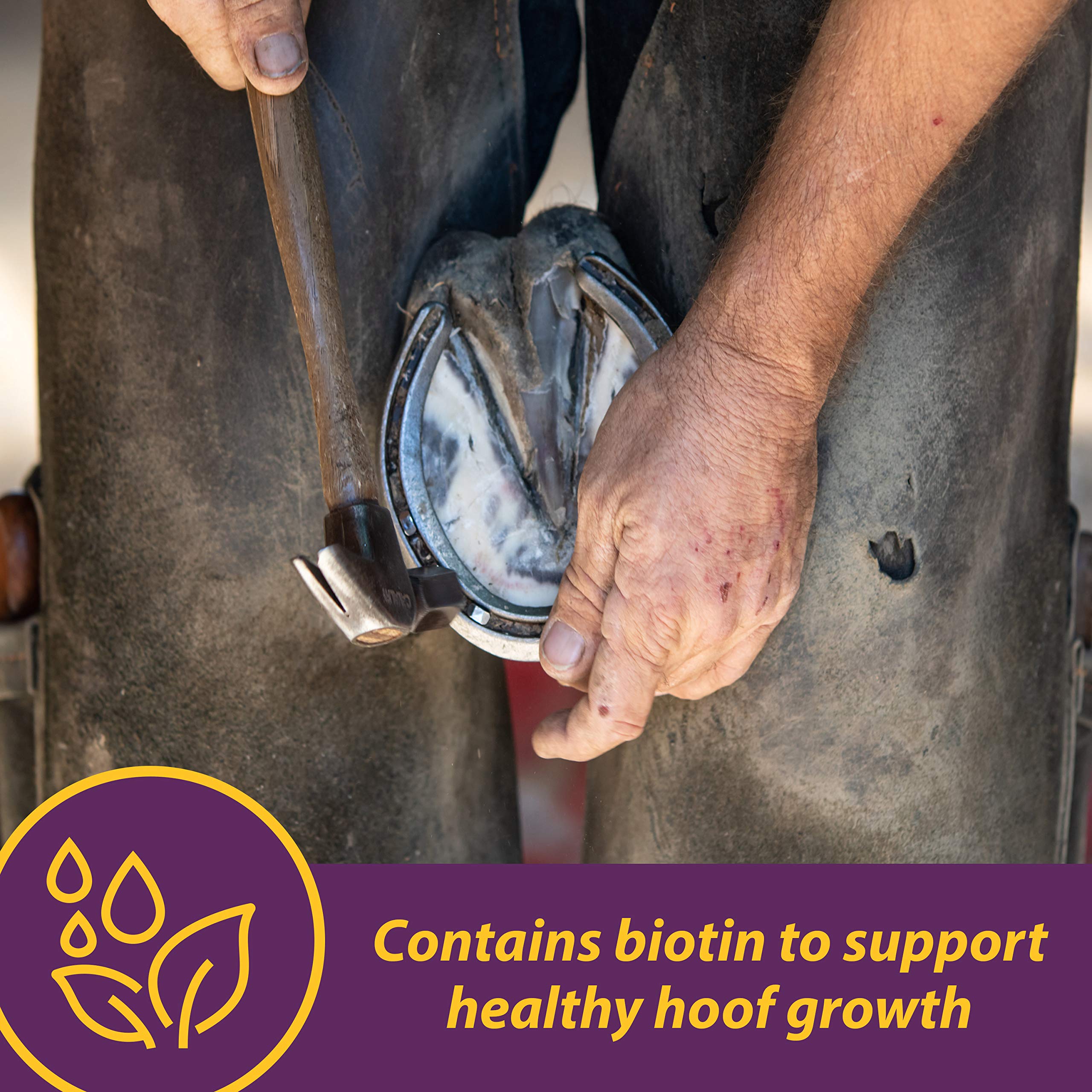 Horse Health Vita Biotin Crumbles para uso diario, dosis constante para cascos saludables.