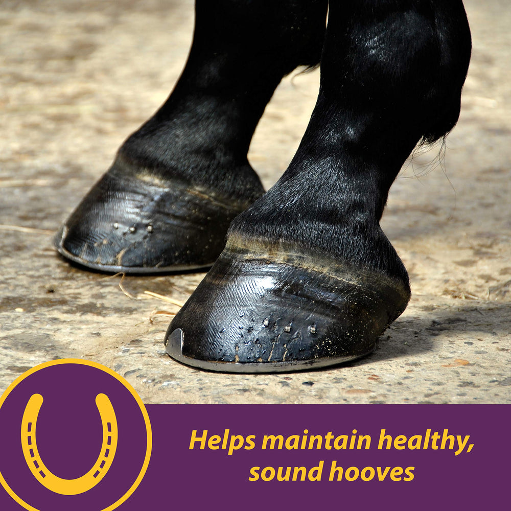 Texto granulado de Horse Health Vita Biotin Crumbles facilita la mezcla diaria.
