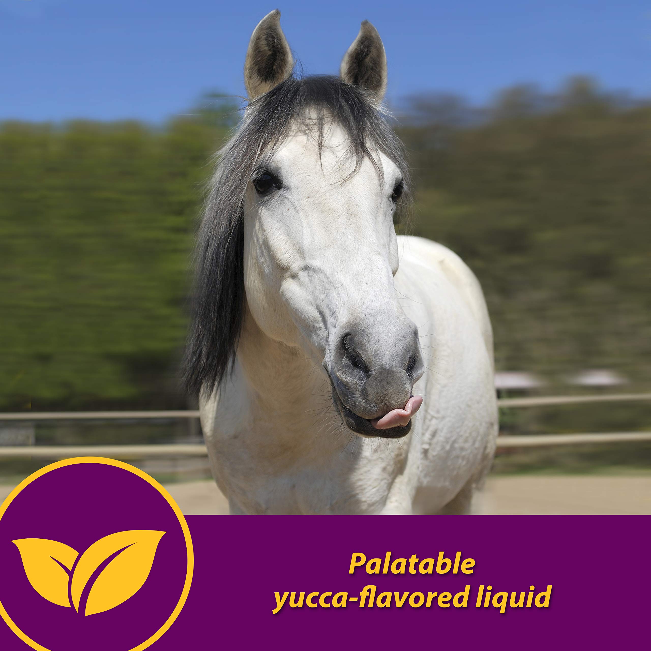 Horse Health Red Cell zinc: refuerzo para sistema inmunológico