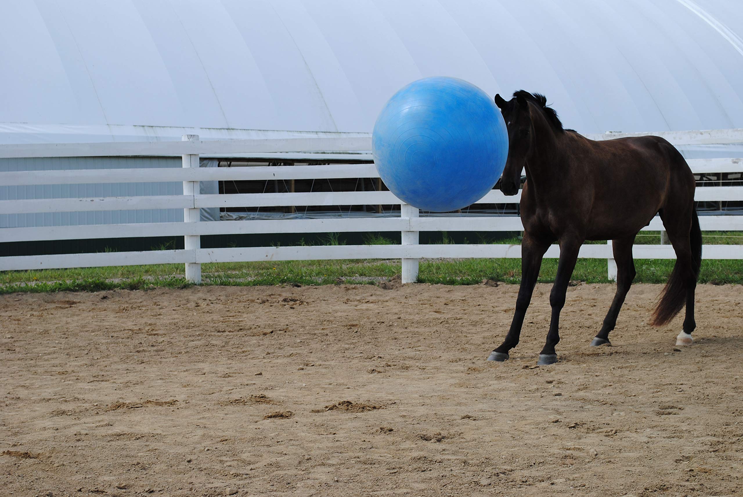 Bomba de pie incluida para inflar la bola Horsemen's Pride.