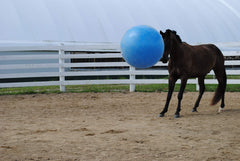 Bomba de pie incluida para inflar la bola Horsemen's Pride.
