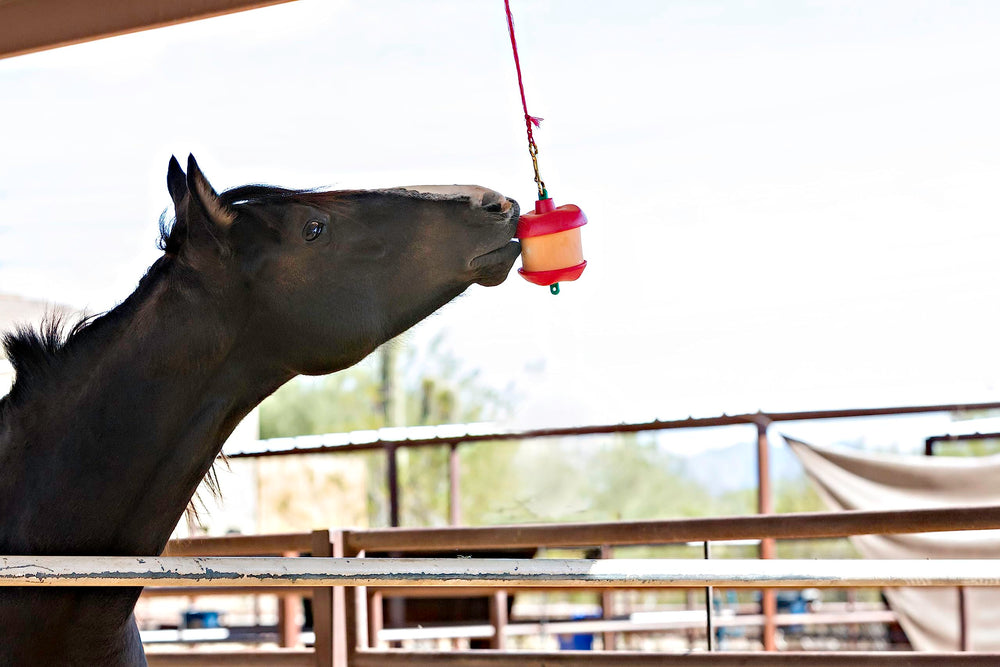 Premio con sabor a manzana de Horsemen's Pride para establo, distracción segura.