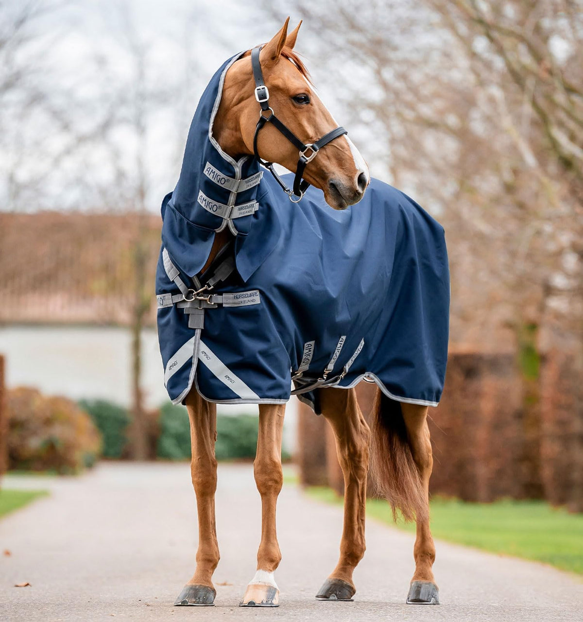 Horseware Amigo 1200D capucha integrada para mayor protección y ajuste cómodo.
