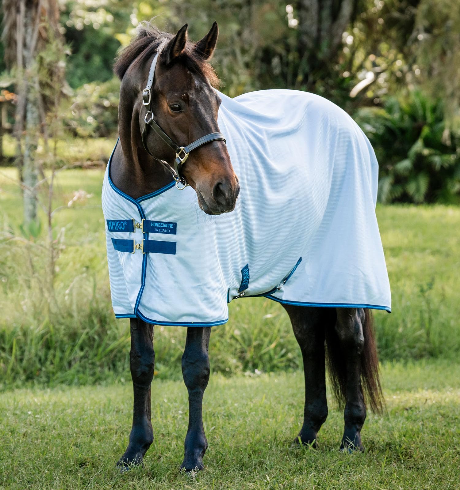Horseware Amigo Bug Rug, malla ventilada, protección contra insectos para caballos.