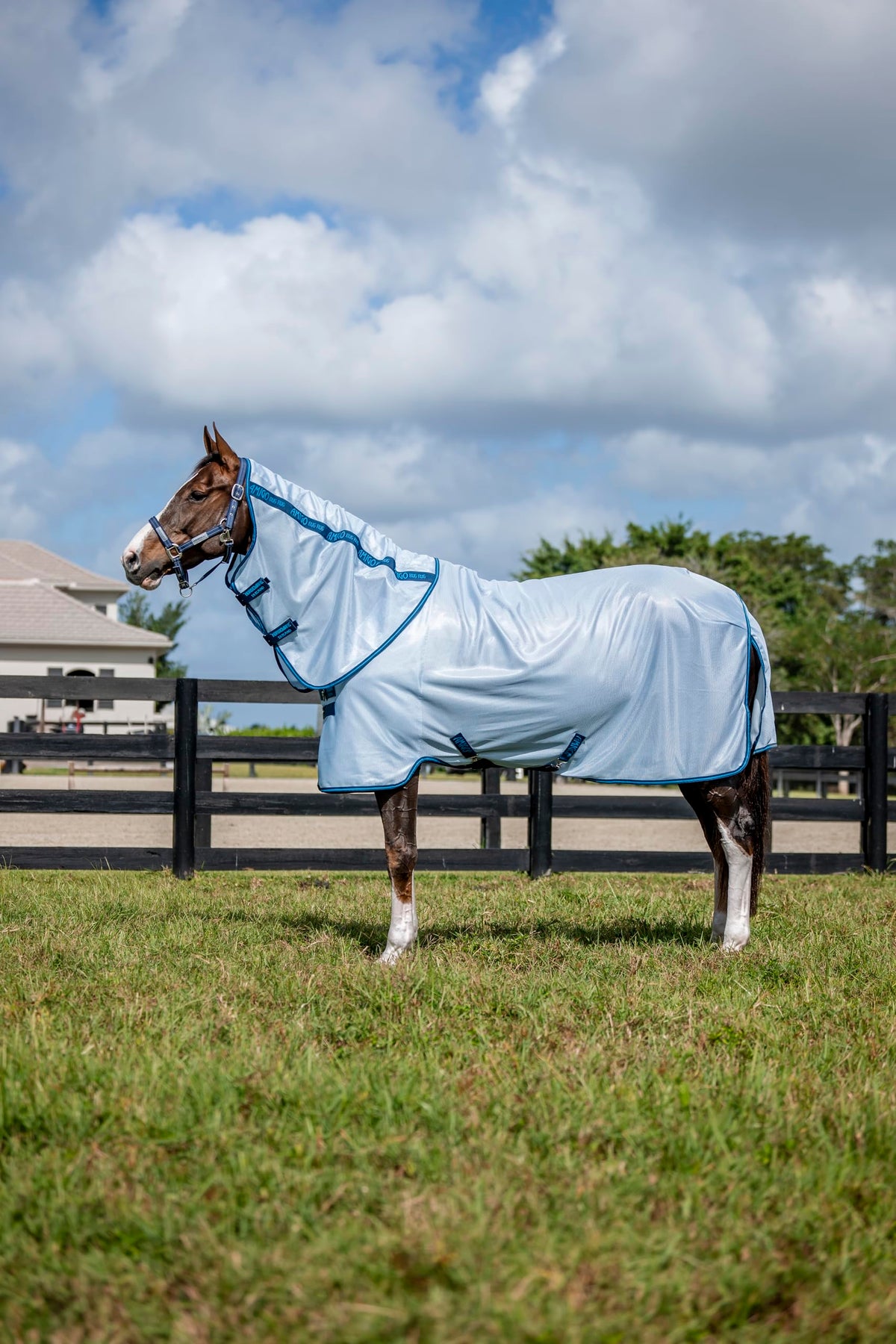 Horseware Amigo Bug Rug Plus, vista frontal, protección contra mosquitos y sol.