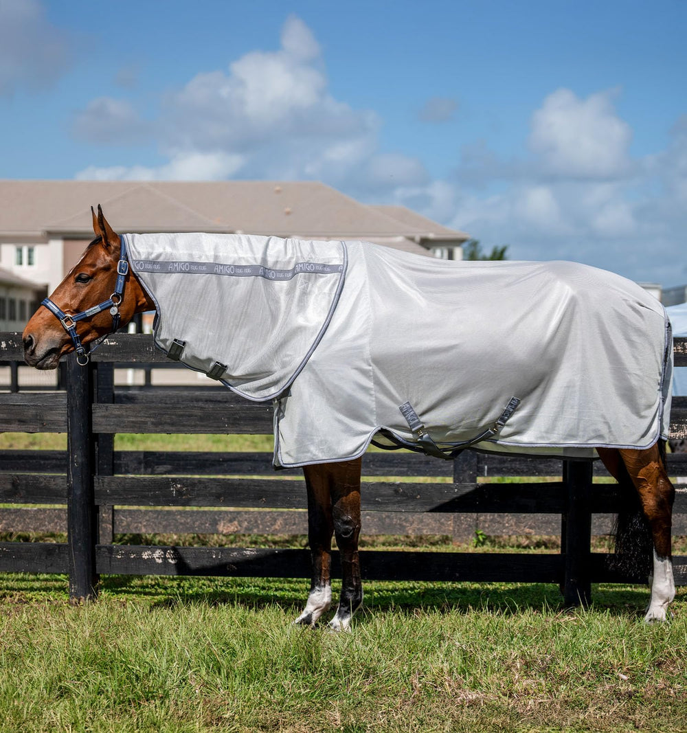 Horseware Amigo Bug Rug Plus en malla cerrada para protección contra insectos y UV.