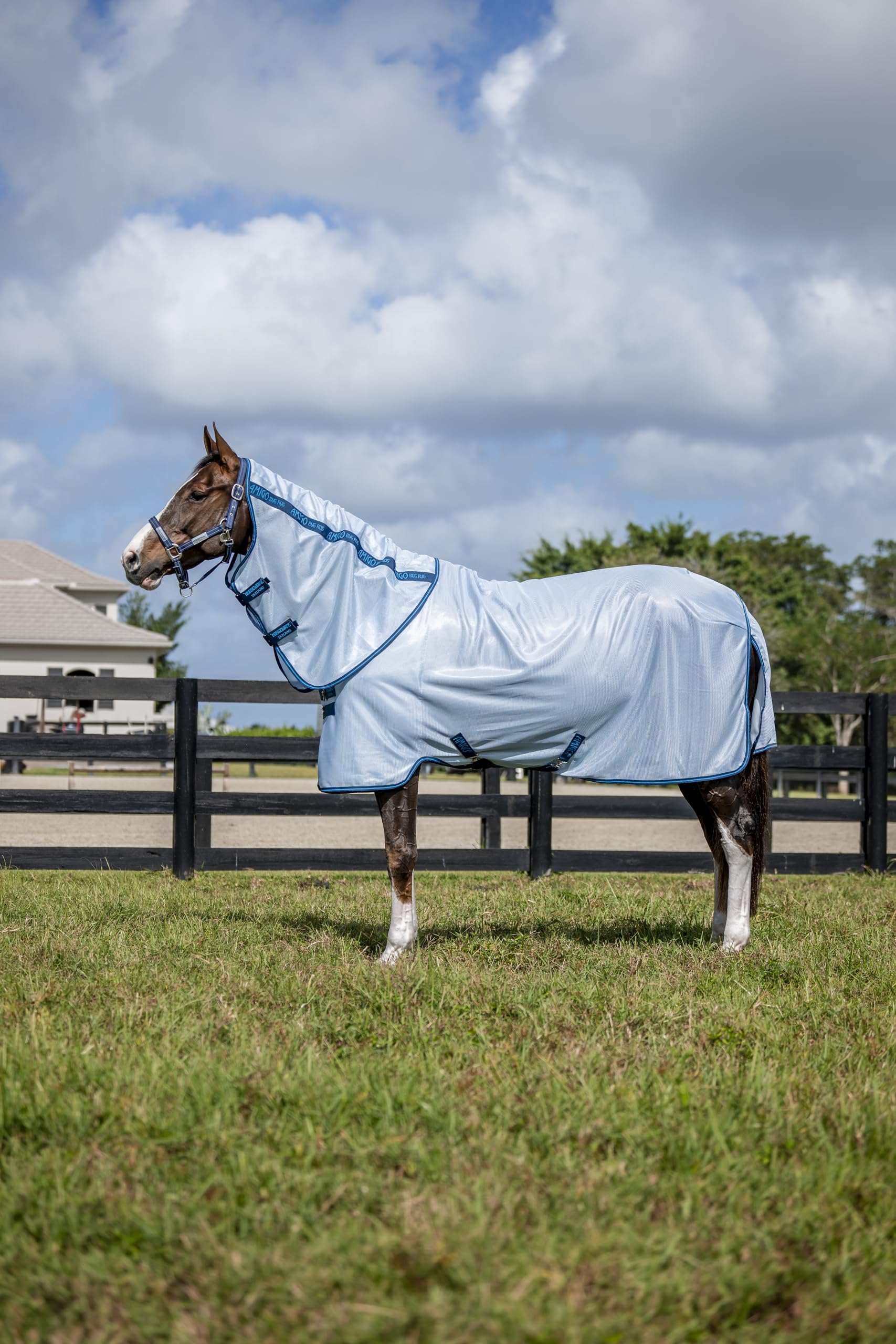 Horseware Amigo Bug Rug Plus protege contra mosquitos durante las salidas en campo.