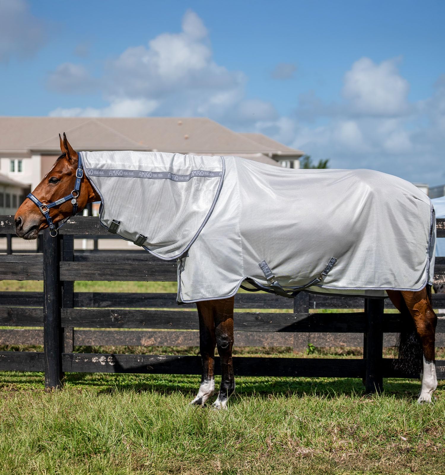 Horseware Amigo Manta Antiinsectos Plus, vista lateral, malla duradera y cobertura amplia.