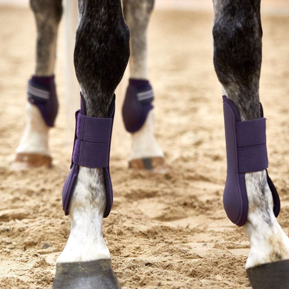 Variedad de colores Horze Adepto para coordinar el tack